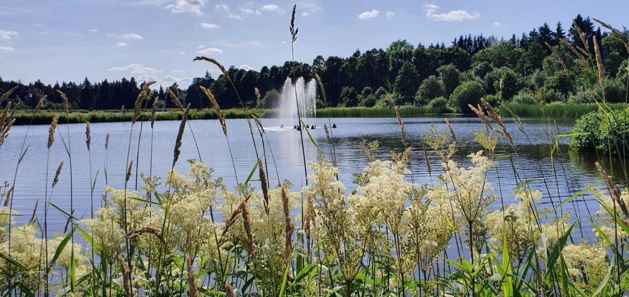 Apartament Bergliebe Goslar Zewnętrze zdjęcie